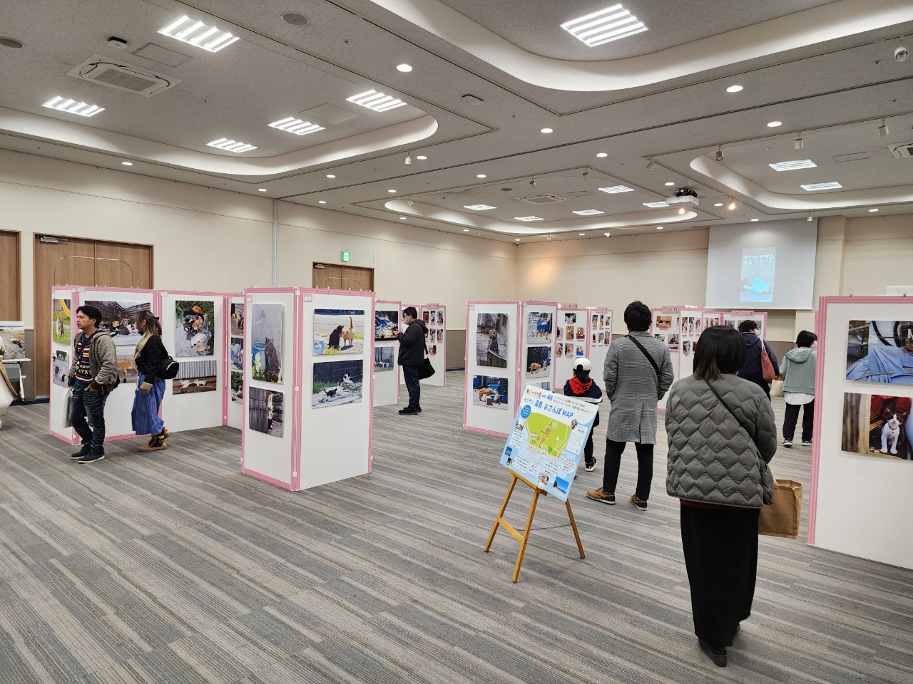 ねこがすき展