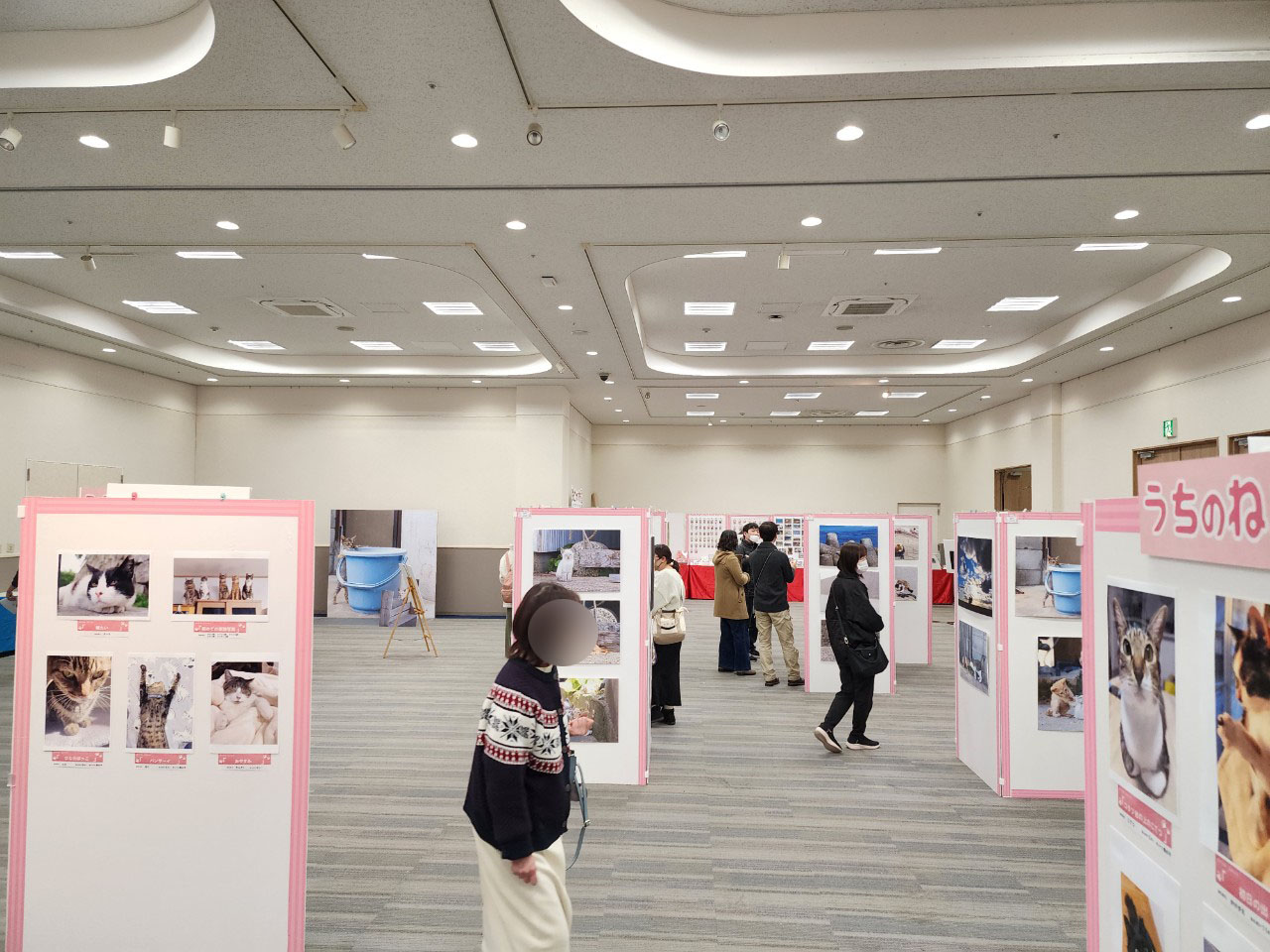 ねこがすき展