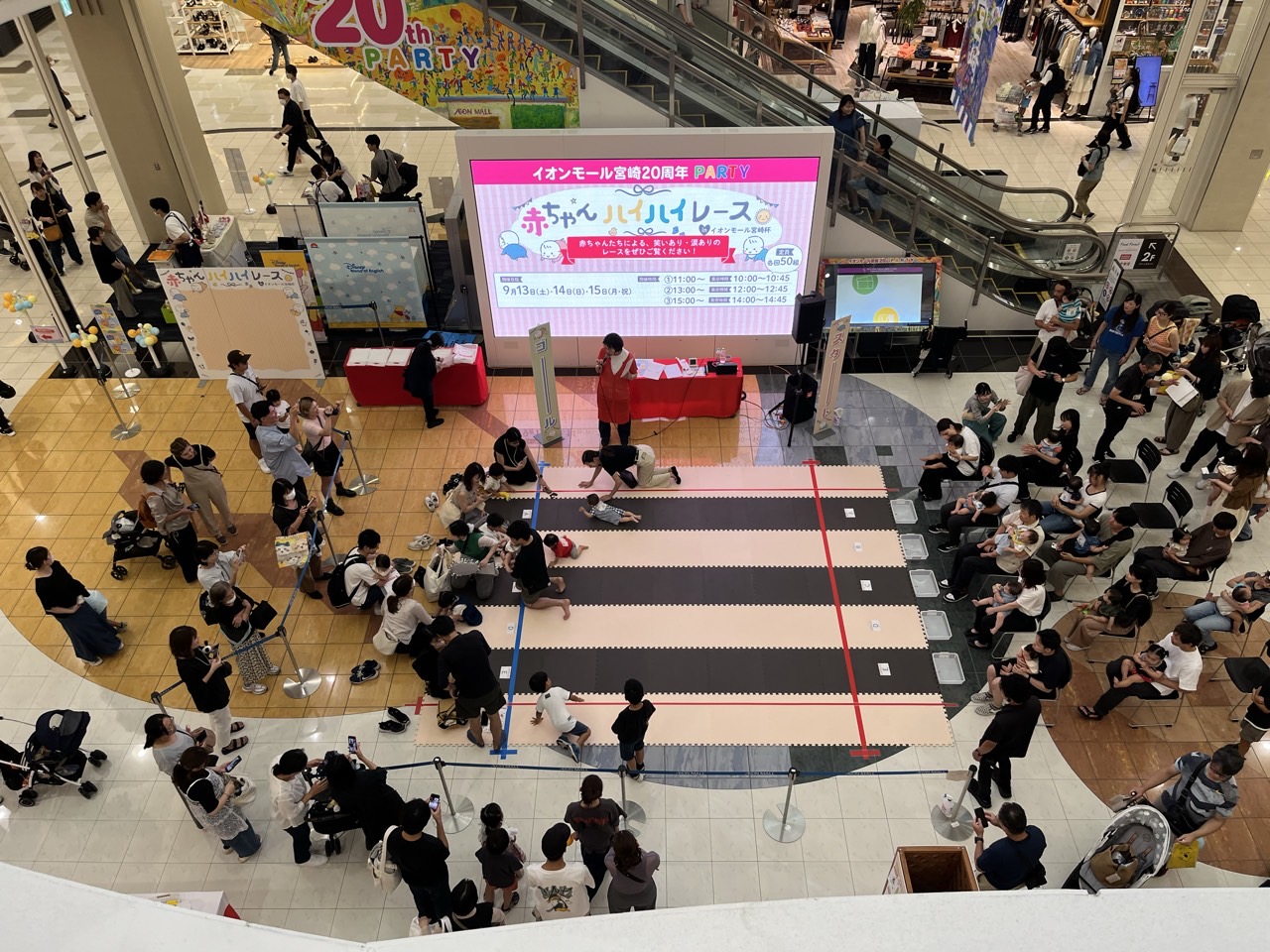 赤ちゃんハイハイ競争