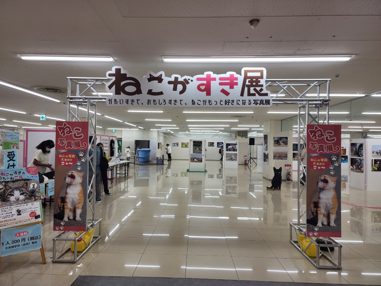 ねこがすき展