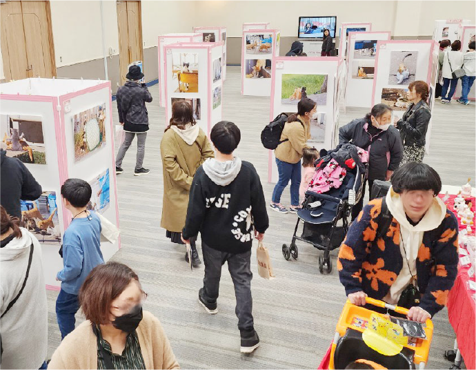 ねこがすき展