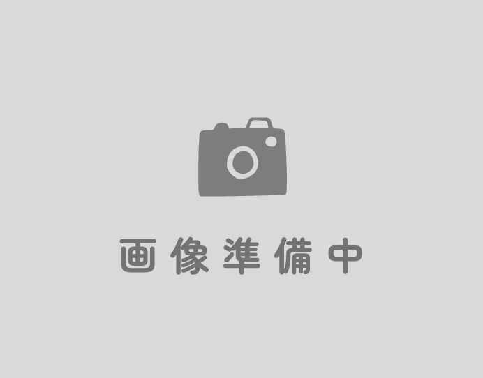 ふあふあエアー遊具
